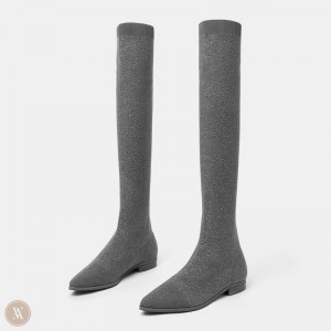 VIVAIA Philippines - VIVAIA Michaelia Women's Pointed-Toe Over-the-Knee Boots Grey - HQR-3930
