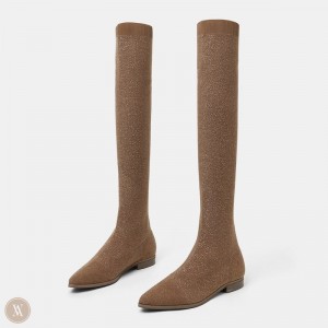 VIVAIA Philippines - VIVAIA Michaelia Women's Pointed-Toe Over-the-Knee Boots Brown - MDA-9303