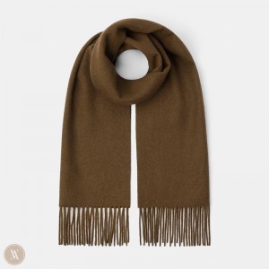 VIVAIA Philippines - VIVAIA Wool Scarf Women's Scarves Khaki Brown - KJO-3756